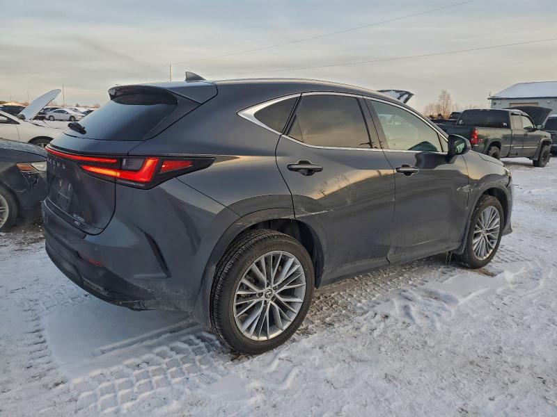 95842645 :رقم المزاد ، 2T2GKCEZ7SC038332 vin ، 2025 Lexus Nx 350h Ba مزاد بيع