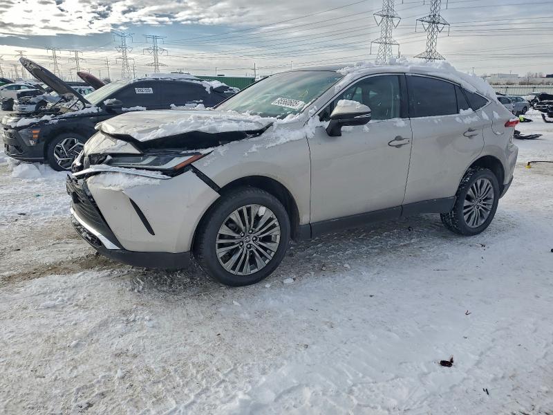95560605 :رقم المزاد ، JTEAAAAHXPJ132274 vin ، 2023 Toyota Venza مزاد بيع