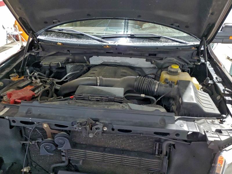 2014 Ford F150 მანქანა იყიდება აუქციონზე, vin: 1FTFW1ET0EKD56350, აუქციონის ნომერი: 95741985