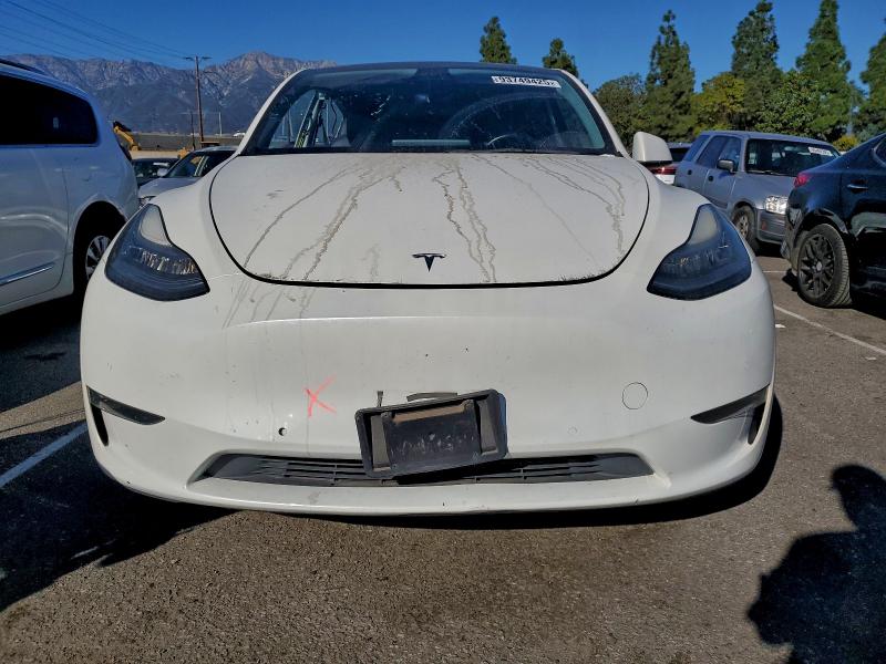 2021 Tesla Model Y მანქანა იყიდება აუქციონზე, vin: 5YJYGAEE4MF160091, აუქციონის ნომერი: 93749425