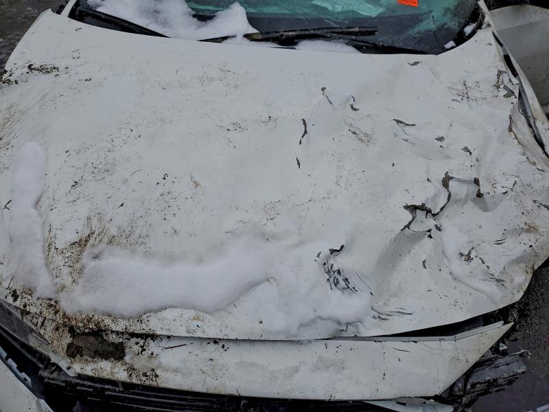 Aukcja sprzedaży 2023 Nissan Sentra, vin: 3N1AB8DV9PY268292, numer aukcji: 96842465