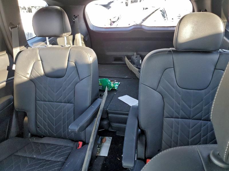 Aukcja sprzedaży 2024 Kia Telluride, vin: 5XYP5DGC2RG455804, numer aukcji: 95407845