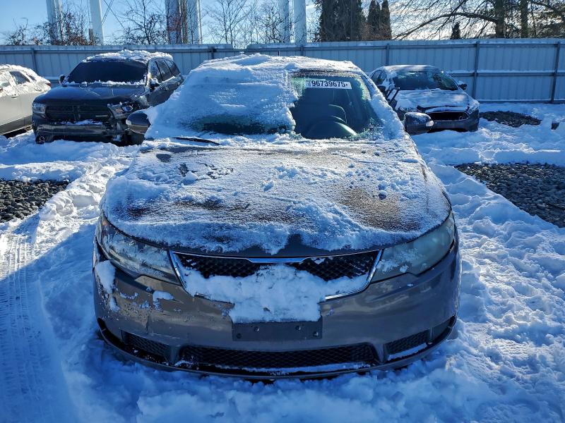Продажа на аукционе авто 2010 Kia Forte, vin: KNAFU4A28A5060549, номер лота: 96739675