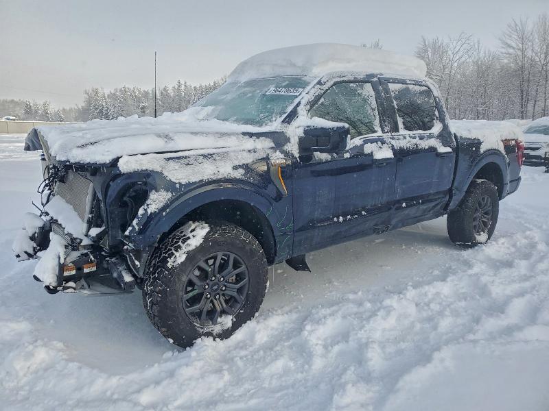 Aukcja sprzedaży 2025 Ford F150, vin: 1FTFW4L84SFA71414, numer aukcji: 96478635