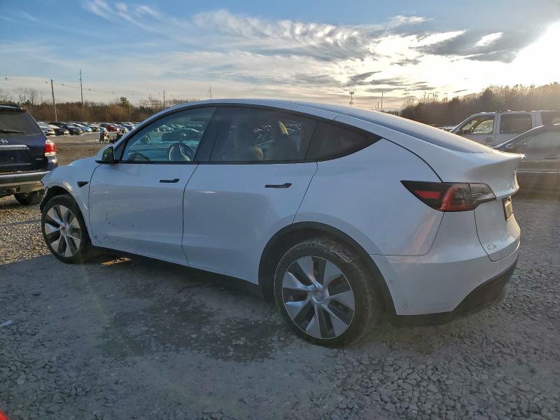 Aukcja sprzedaży 2021 Tesla Model Y, vin: 5YJYGDEE1MF137255, numer aukcji: 94955065