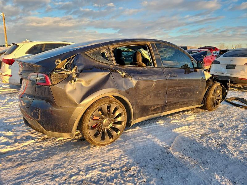 Продажа на аукционе авто 2024 Tesla Model Y, vin: 7SAYGDEF8RF041383, номер лота: 95929755