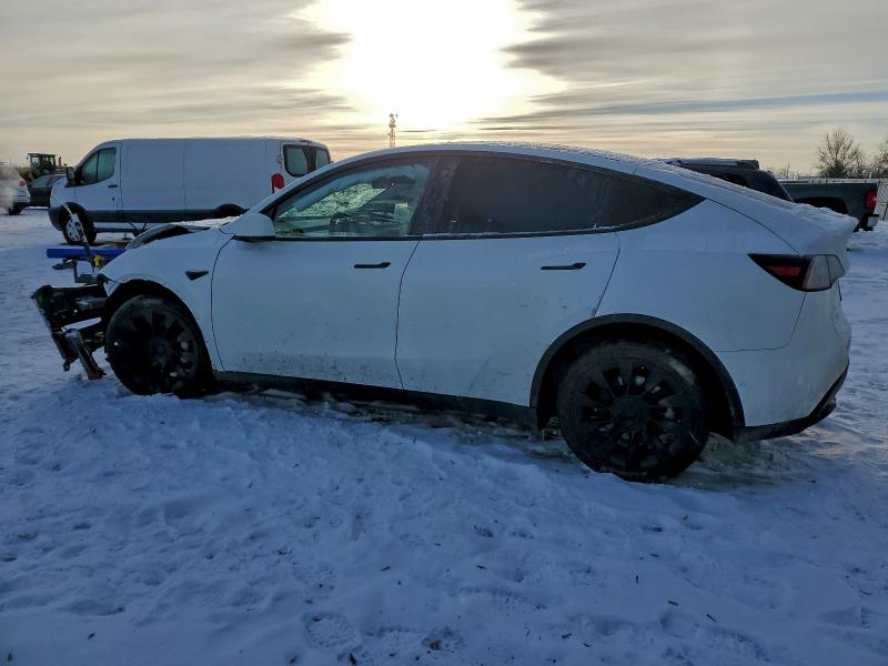 Продаж на аукціоні авто 2022 Tesla Model Y, vin: 7SAYGDEE5NF517106, номер лоту: 95261035