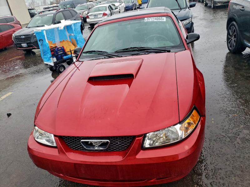 2004 Ford Mustang მანქანა იყიდება აუქციონზე, vin: 1FAFP44634F198934, აუქციონის ნომერი: 97114065