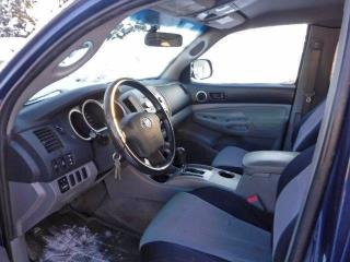 Продаж на аукціоні авто 2005 Toyota Tacoma Acc, vin: 5TEUU42N05Z023033, номер лоту: 97793125