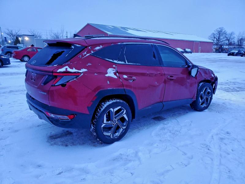 2023 Hyundai Tucson მანქანა იყიდება აუქციონზე, vin: KM8JCCA15PU089549, აუქციონის ნომერი: 96059925