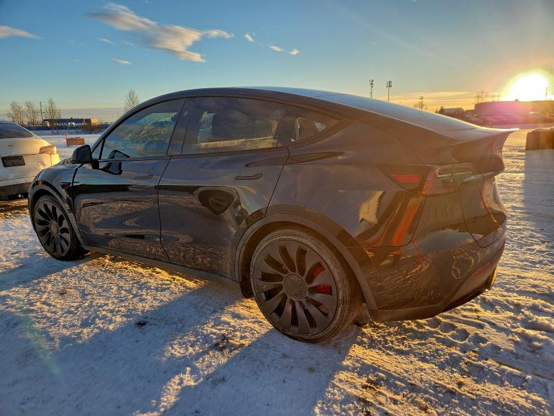 Продажа на аукционе авто 2024 Tesla Model Y, vin: 7SAYGDEF8RF041383, номер лота: 95929755