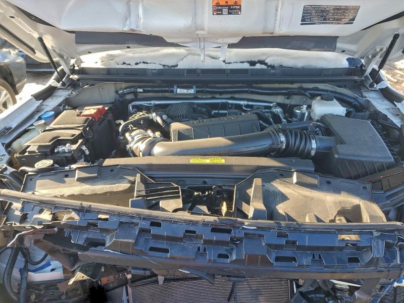 Продаж на аукціоні авто 2025 Nissan Frontier, vin: 1N6ED1CM0SN638878, номер лоту: 97401545