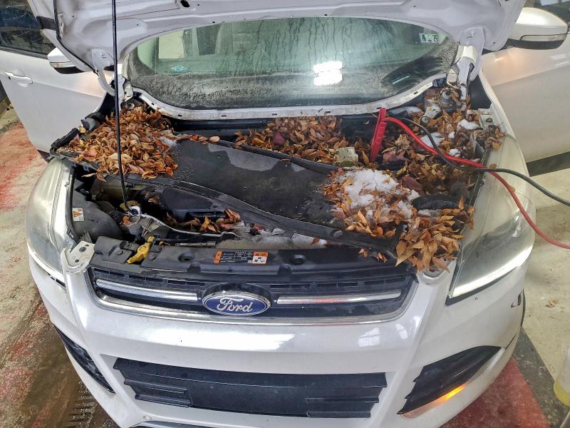 2016 Ford Escape Tit მანქანა იყიდება აუქციონზე, vin: 1FMCU9JX8GUA58471, აუქციონის ნომერი: 98823465