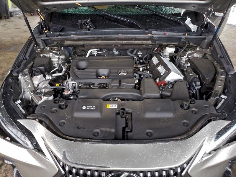 Продажа на аукционе авто 2024 Lexus Nx 250 Bas, vin: 2T2ADCAZ7RC008375, номер лота: 98008085