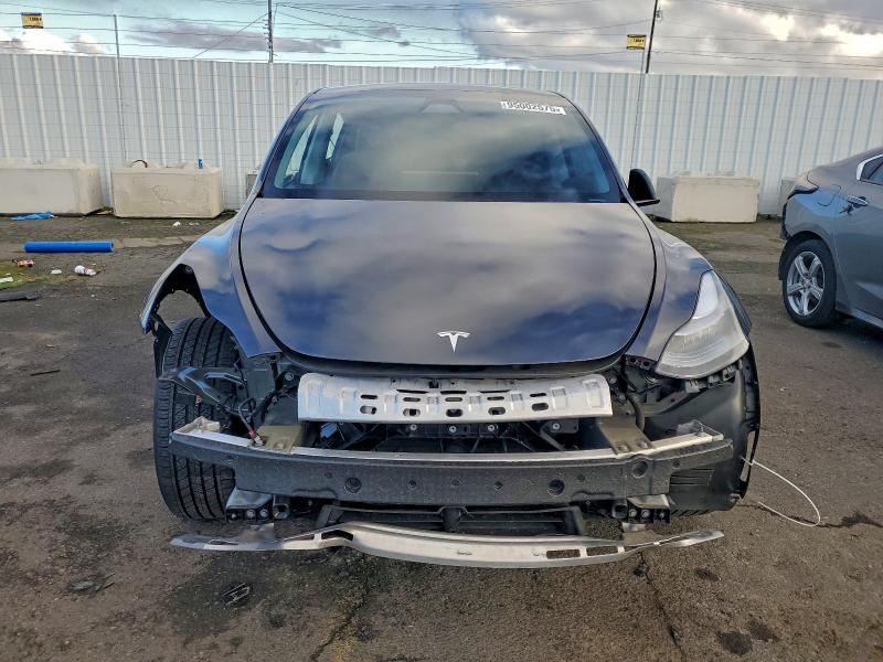 Продаж на аукціоні авто 2024 Tesla Model Y, vin: 7SAYGDEE5RF009031, номер лоту: 95002575