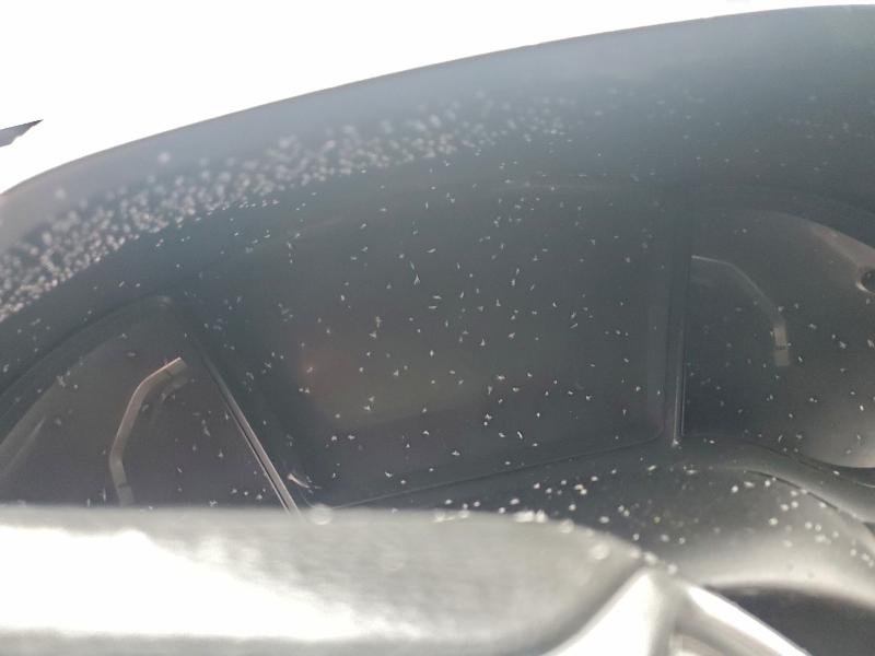 2019 Honda Civic მანქანა იყიდება აუქციონზე, vin: 2HGFC4B69KH400388, აუქციონის ნომერი: 95058595