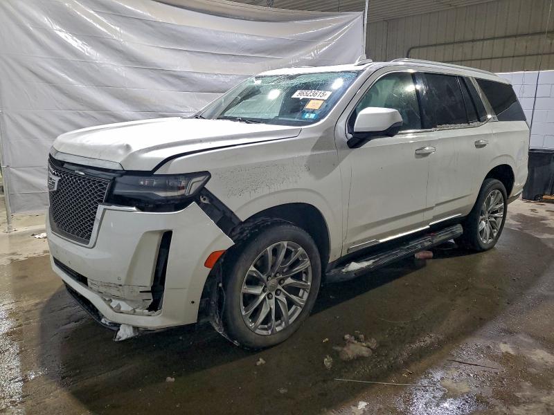 Продажа на аукционе авто 2023 Cadillac Escalade P, vin: 1GYS4BKLXPR152769, номер лота: 96523615