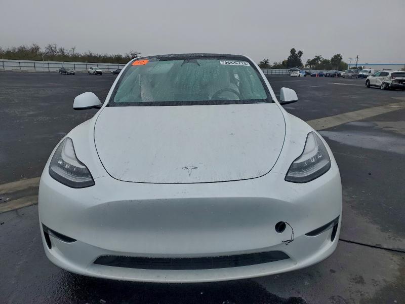 Aukcja sprzedaży 2023 Tesla Model Y, vin: 7SAYGDEE8PA103530, numer aukcji: 96836715