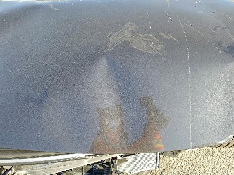 95700665 :رقم المزاد ، 7SAYGDEE0TF457636 vin ، 2026 Tesla Model Y مزاد بيع