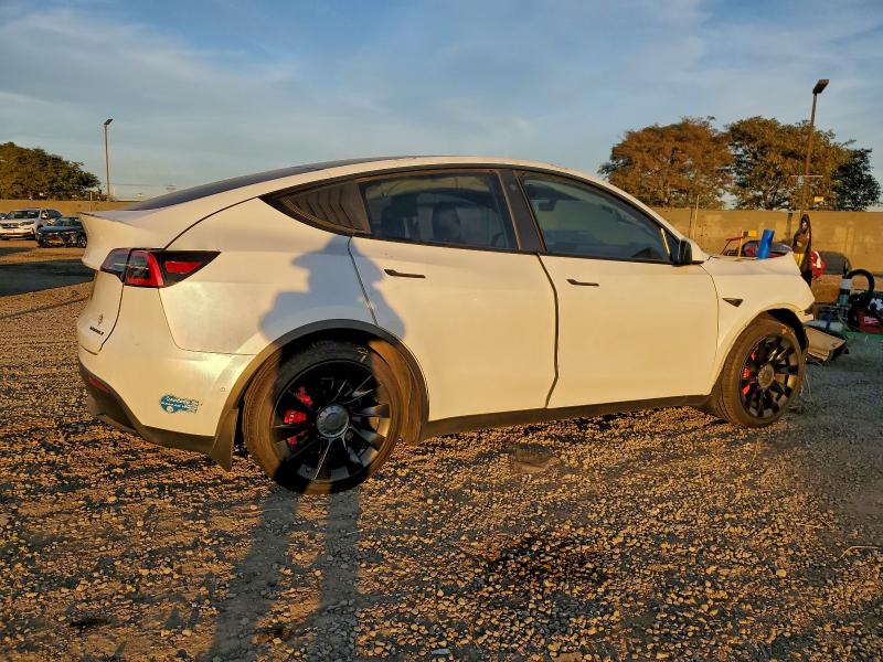 97827715 :رقم المزاد ، 5YJYGDED1MF125923 vin ، 2021 Tesla Model Y مزاد بيع