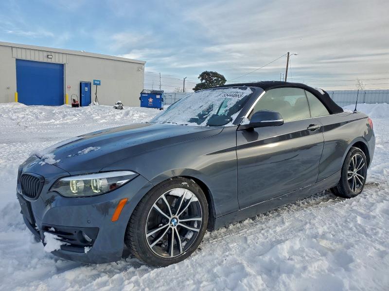 2020 Bmw 230xi მანქანა იყიდება აუქციონზე, vin: WBA2K1C01L7G10800, აუქციონის ნომერი: 95444665