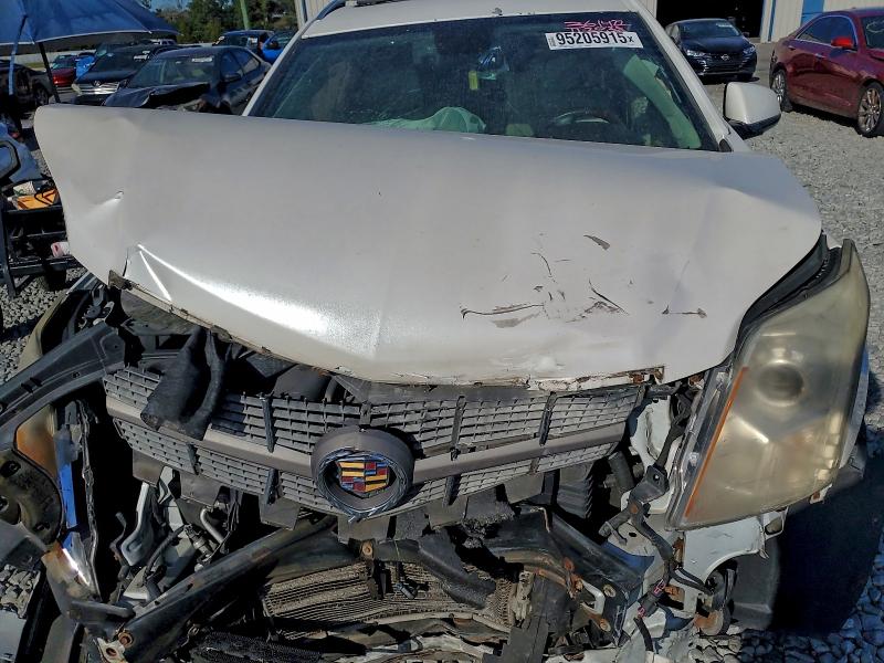 Продаж на аукціоні авто 2010 Cadillac Srx, vin: 3GYFNDEY4AS652979, номер лоту: 95205915