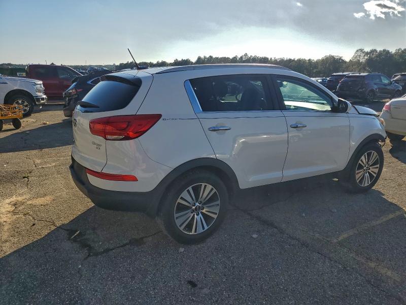 95900835 :رقم المزاد ، KNDPC3AC4G7844348 vin ، 2016 Kia Sportage مزاد بيع