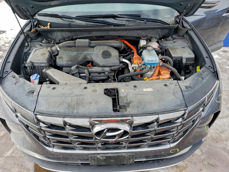 Продажа на аукционе авто 2024 Hyundai Tucson, vin: KM8JDDD24RU168883, номер лота: 97287935