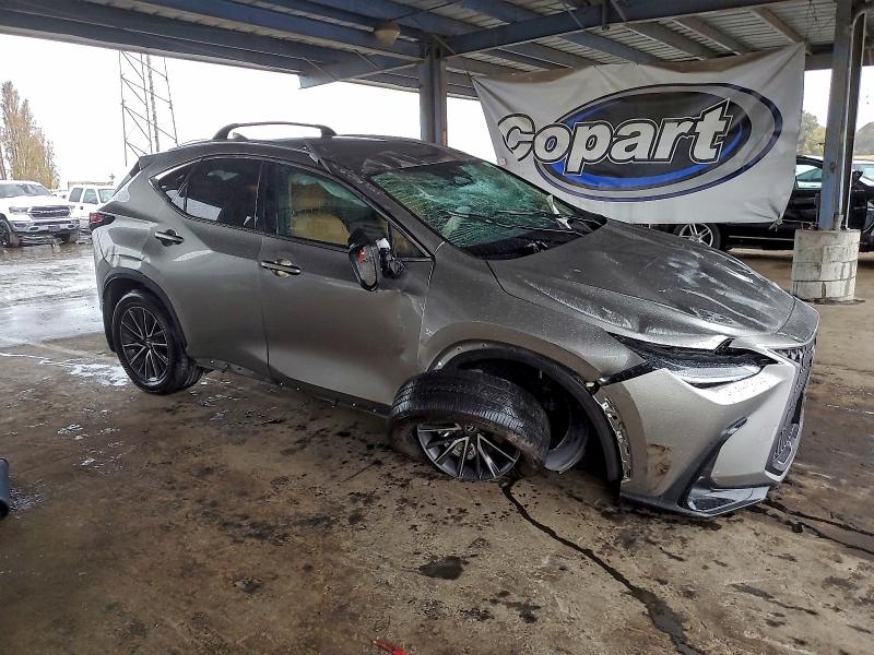Продажа на аукционе авто 2024 Lexus Nx 250 Bas, vin: 2T2ADCAZ7RC008375, номер лота: 98008085