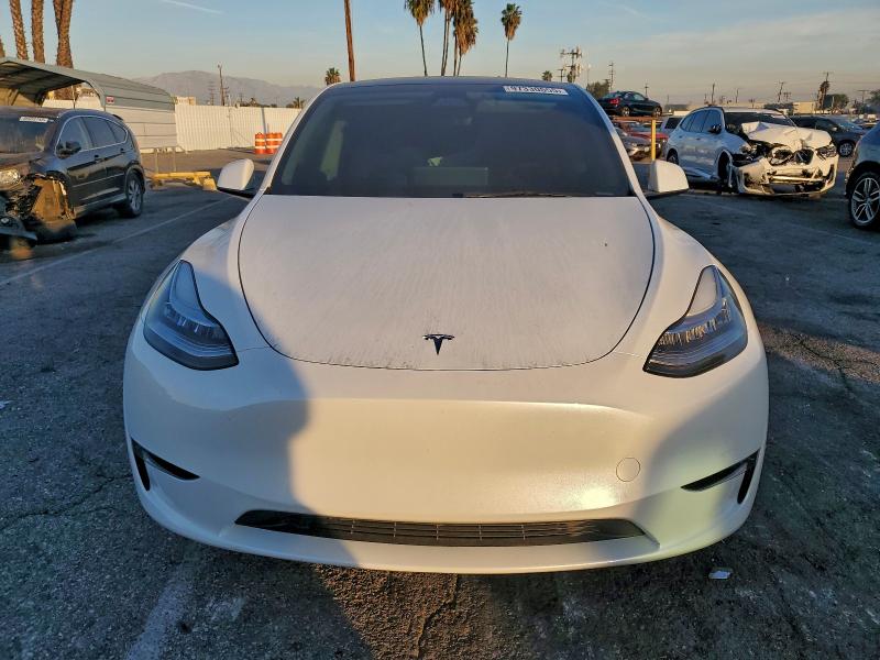 Продаж на аукціоні авто 2023 Tesla Model Y, vin: 7SAYGDEE0PA154245, номер лоту: 97330555