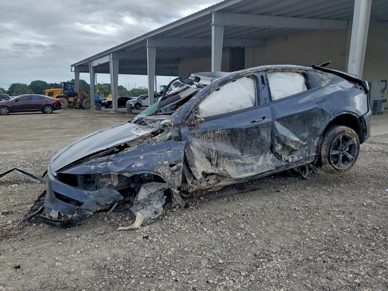 Продажа на аукционе авто 2026 Tesla Model Y, vin: 7SAYGDEE2TA394469, номер лота: 48946686