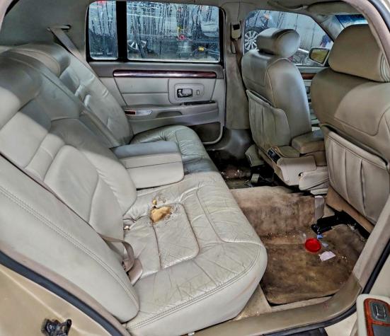 96511155 :رقم المزاد ، 1G6KD54Y8WU797712 vin ، 1998 Cadillac Deville مزاد بيع
