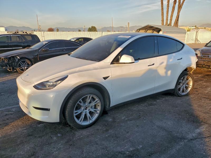 Продаж на аукціоні авто 2023 Tesla Model Y, vin: 7SAYGDEE0PA154245, номер лоту: 97330555