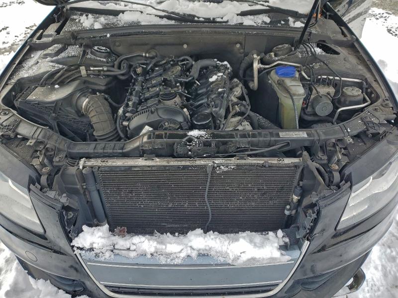 2010 Audi A4 მანქანა იყიდება აუქციონზე, vin: WAUEFAFL1AN053352, აუქციონის ნომერი: 97158845
