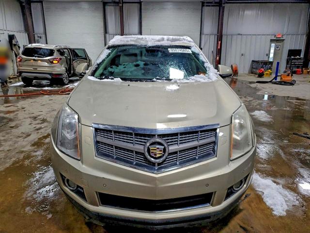 Продажа на аукционе авто 2010 Cadillac Srx, vin: 3GYFNFEY0AS504419, номер лота: 95074565