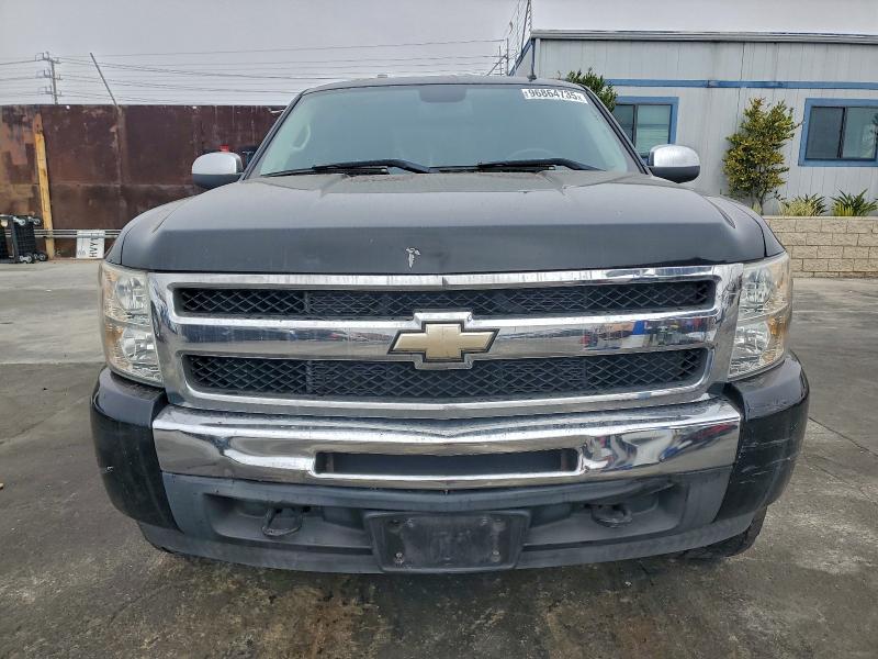2009 Chevrolet Silverado მანქანა იყიდება აუქციონზე, vin: 3GCEC23J49G210090, აუქციონის ნომერი: 61516506