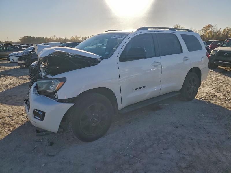 Продажа на аукционе авто 2019 Toyota Sequoia, vin: 5TDZY5G12KS073172, номер лота: 97726235