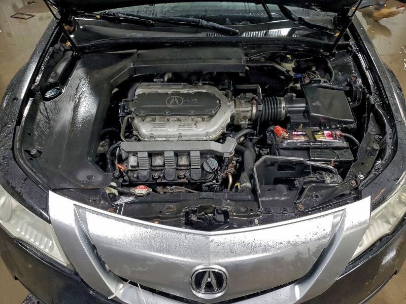 Продаж на аукціоні авто 2009 Acura Tl, vin: 19UUA865X9A009877, номер лоту: 97555625