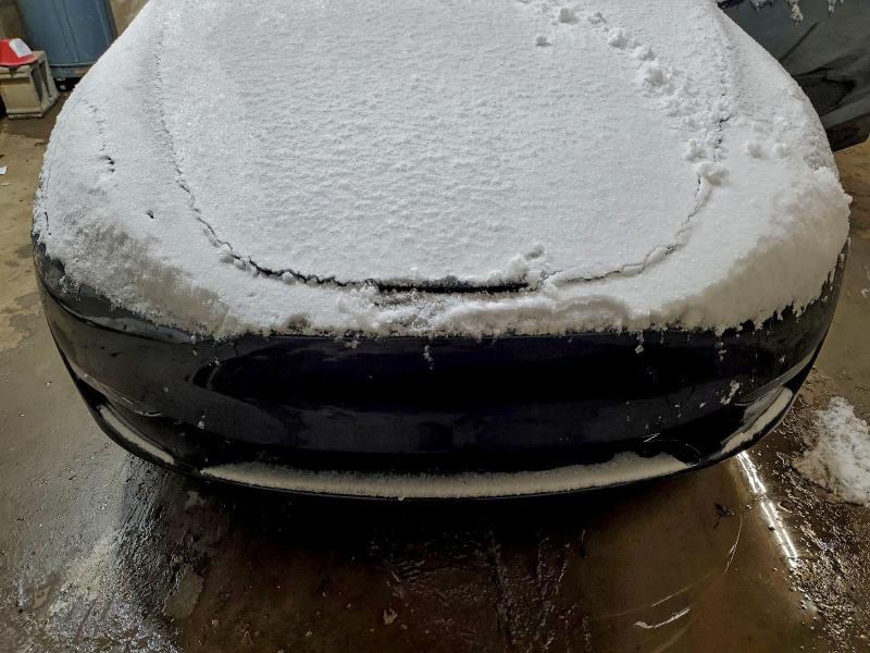 Продаж на аукціоні авто 2024 Tesla Model Y, vin: 7SAYGDEE0RA232901, номер лоту: 95759635