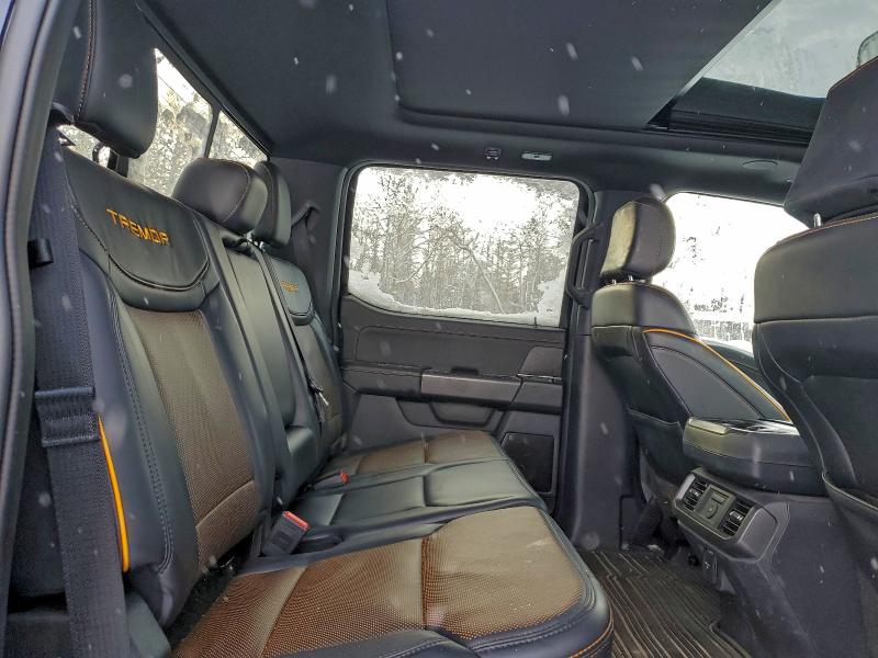 Aukcja sprzedaży 2025 Ford F150, vin: 1FTFW4L84SFA71414, numer aukcji: 96478635