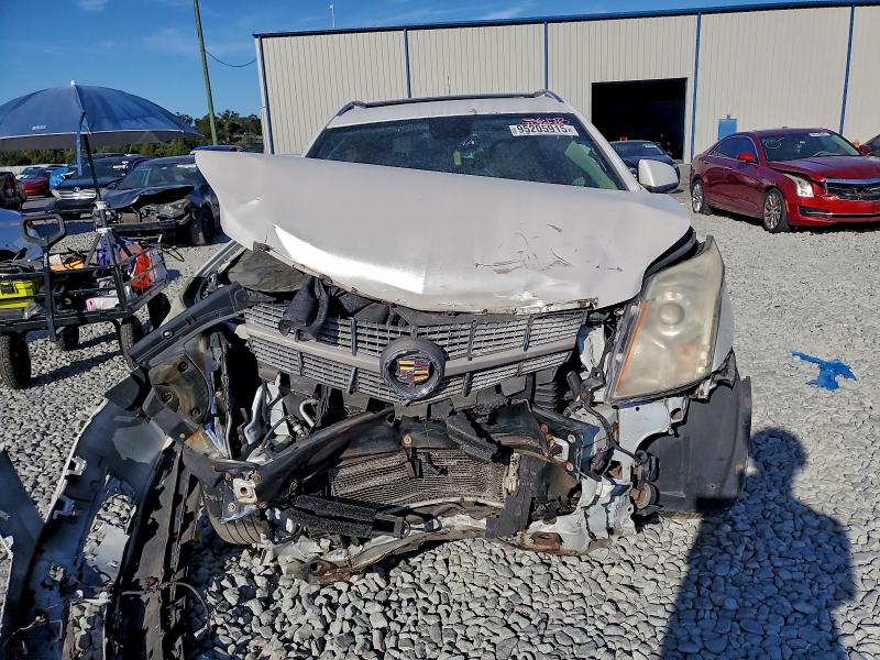 Продаж на аукціоні авто 2010 Cadillac Srx, vin: 3GYFNDEY4AS652979, номер лоту: 95205915