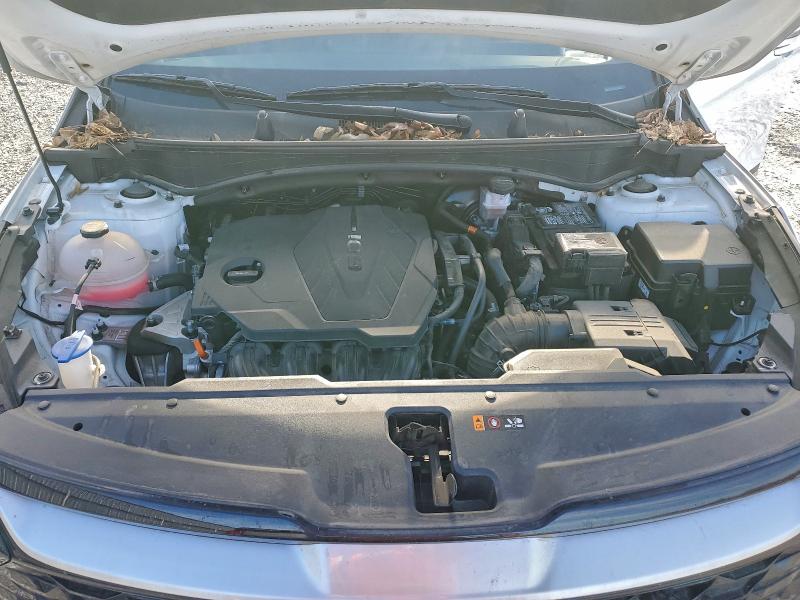 2024 Kia Sportage მანქანა იყიდება აუქციონზე, vin: 5XYK33DF5RG213873, აუქციონის ნომერი: 97963865