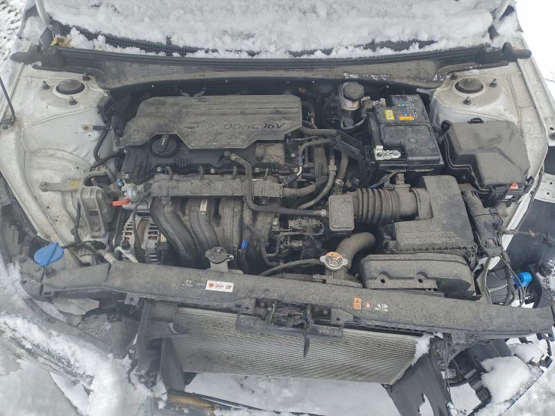 Auction sale of the 2023 Hyundai Elantra, vin: KMHLM4AG0PU525983, lot number: 95069135