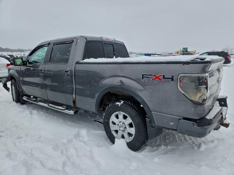 Aukcja sprzedaży 2010 Ford F150, vin: 1FTFW1EV9AFB31963, numer aukcji: 96383575