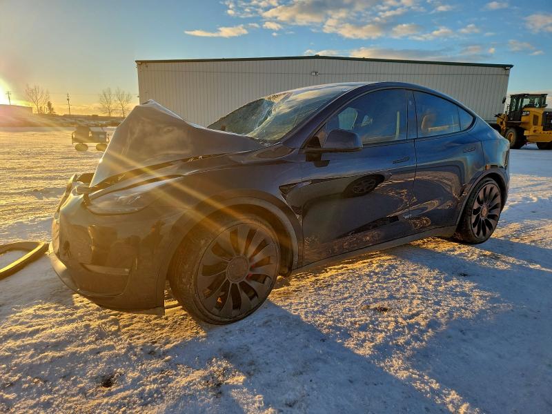 Продажа на аукционе авто 2024 Tesla Model Y, vin: 7SAYGDEF8RF041383, номер лота: 95929755