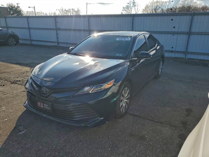 Auction sale of the 2019 Toyota Camry, vin: 4T1B31HK1KU512739, lot number: 95029875
