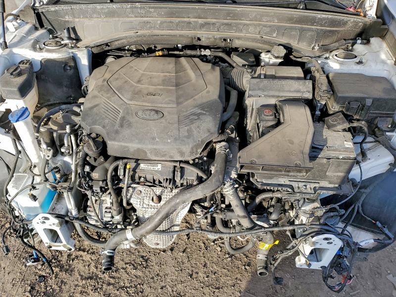 2020 Kia Telluride მანქანა იყიდება აუქციონზე, vin: 5XYP5DHC7LG022355, აუქციონის ნომერი: 96914455