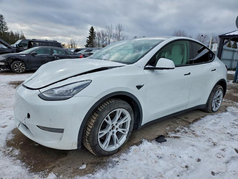 Продаж на аукціоні авто 2021 Tesla Model Y, vin: 5YJYGDEE7MF089101, номер лоту: 95179375