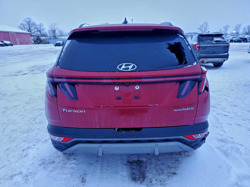 2023 Hyundai Tucson მანქანა იყიდება აუქციონზე, vin: KM8JCCA15PU089549, აუქციონის ნომერი: 96059925