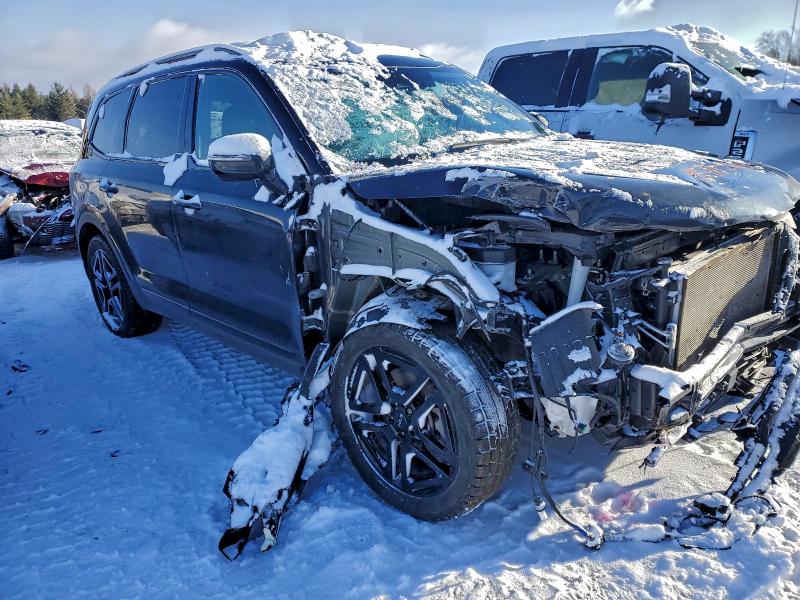 Aukcja sprzedaży 2024 Kia Telluride, vin: 5XYP5DGC2RG455804, numer aukcji: 95407845